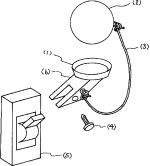 �����o���