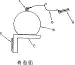 �����o���